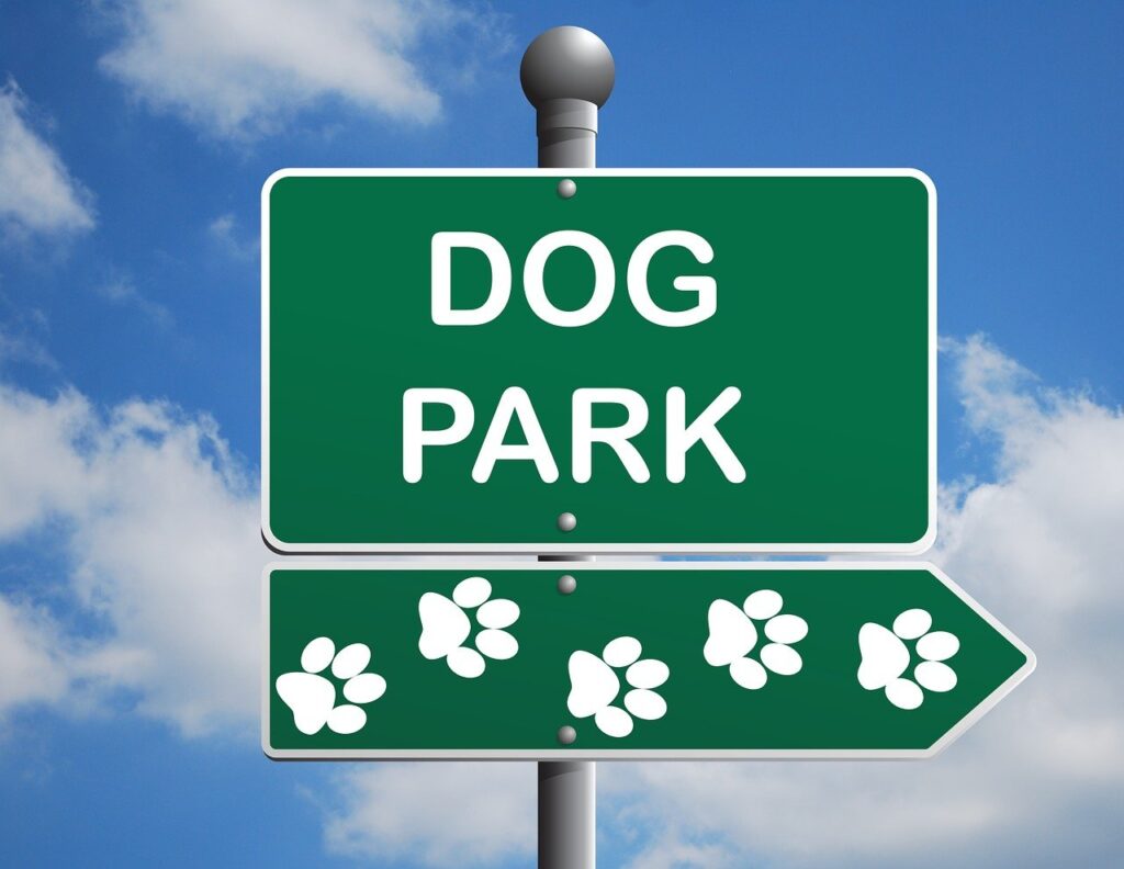 dog park