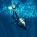 person diving on blue water