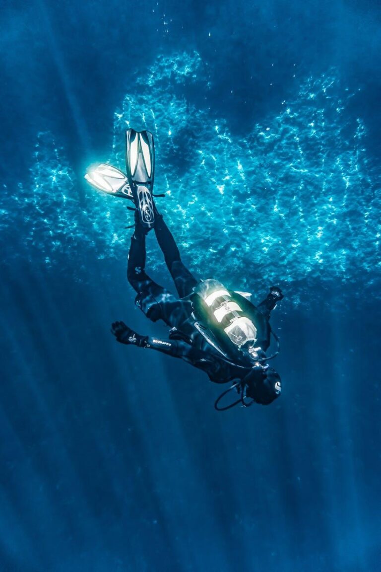 person diving on blue water